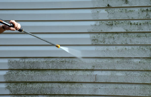 Best Residential Mold Remediation in Redwater, TX
